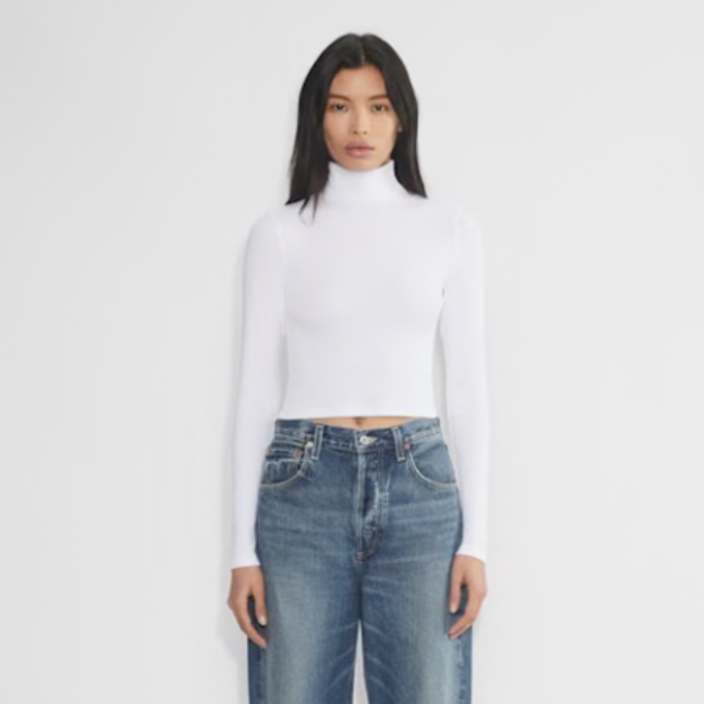 Aritzia TNA HomeStretch Ribbed Turtleneck